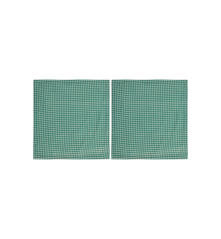 Gingham Napkin Set of 2